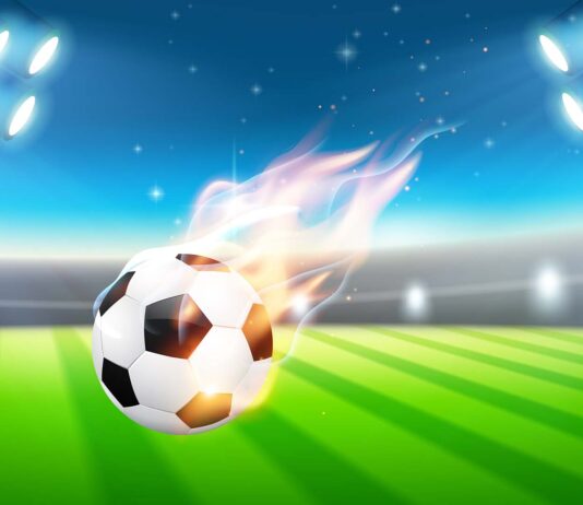 New Updates & Features Coming to LotusBookBet in 2025