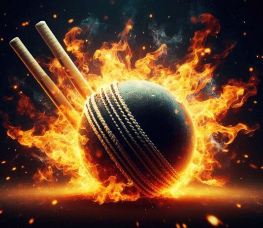 How to Keep Your Cricadda Account Secure