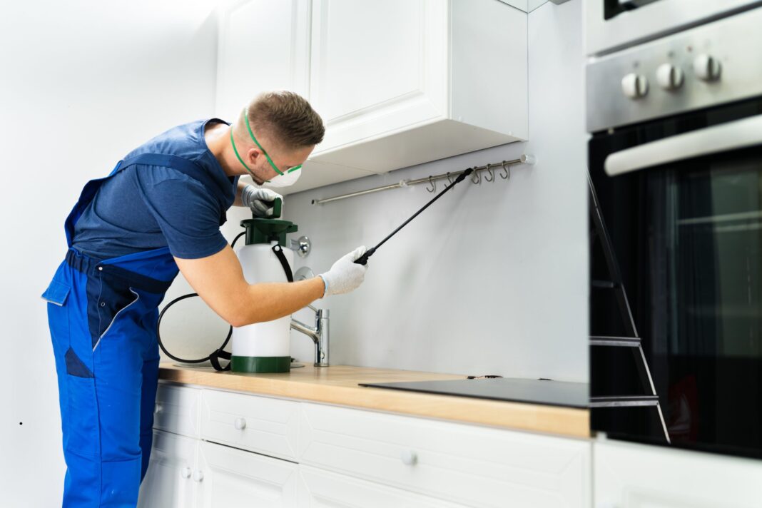 Pest Control Singapore