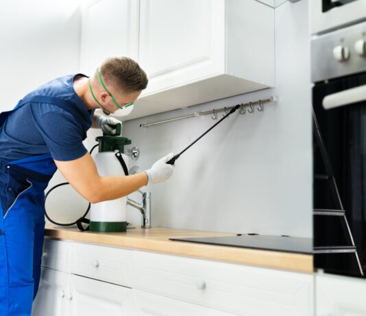Securing Homes and Businesses with Competent Bug Control in Singapore Pest Control Singapore