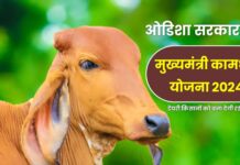 Odisha Government Kamdhenu Yojana: Eligibility Criteria and Online Apply Procedure