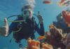 How to Choose the Right Scuba Diving Course in Andaman for Long-Term Value