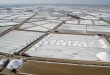 Industrial Salt Manufacturing Companies in India for Reliable Bulk Supply salt export from India