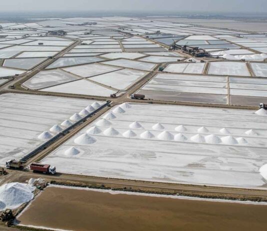 Industrial Salt Manufacturing Companies in India for Reliable Bulk Supply salt export from India