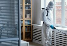 Rodent Pest Control: Comprehensive Protection from Mice and Rats