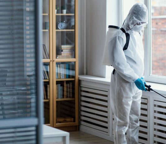 Rodent Pest Control: Comprehensive Protection from Mice and Rats