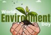 World Environment Day 2026 Social Media Post Ideas for Companies