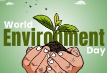 World Environment Day 2026 Social Media Post Ideas for Companies