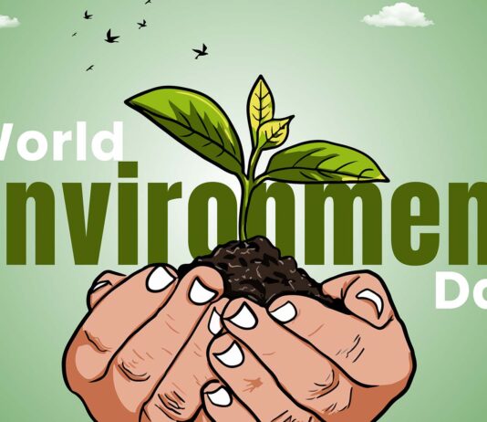 World Environment Day 2026 Social Media Post Ideas for Companies