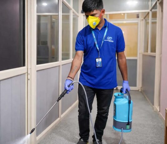 Why Choosing a Professional Pest Control Service in Bangalore Matters for Your Home and Business