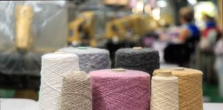 Beyond the Loom: How Global Supply Chains Secure Value through Premium Polymer Selection